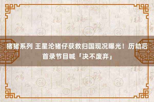 猪猪系列 王星沦猪仔获救归国现况曝光！　历劫后首录节目喊「决不废弃」