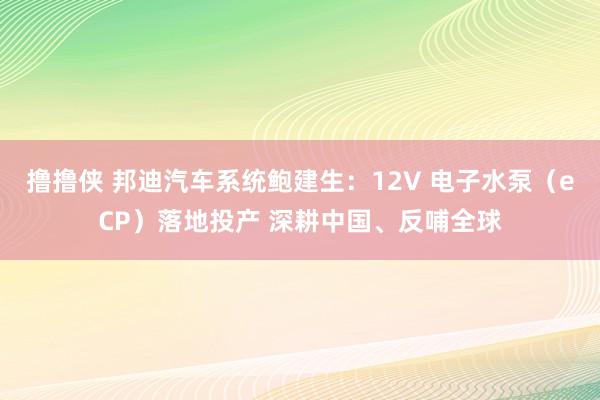撸撸侠 邦迪汽车系统鲍建生：12V 电子水泵（eCP）落地投产 深耕中国、反哺全球
