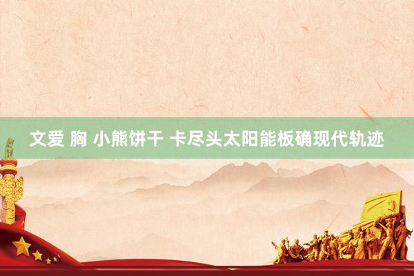 文爱 胸 小熊饼干 卡尽头太阳能板确现代轨迹