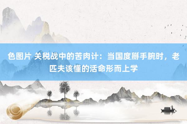 色图片 关税战中的苦肉计：当国度掰手腕时，老匹夫该懂的活命形而上学