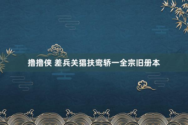 撸撸侠 差兵关猖扶鸾轿一全宗旧册本