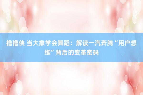 撸撸侠 当大象学会舞蹈：解读一汽奔腾“用户想维”背后的变革密码